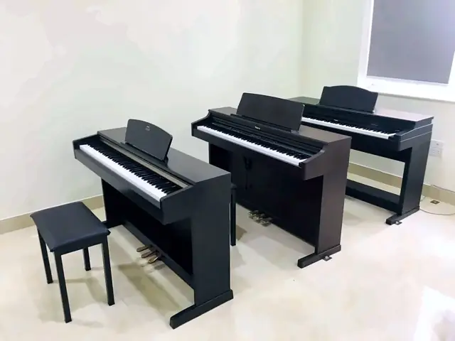 Các mẫu piano điện tại trung tâm